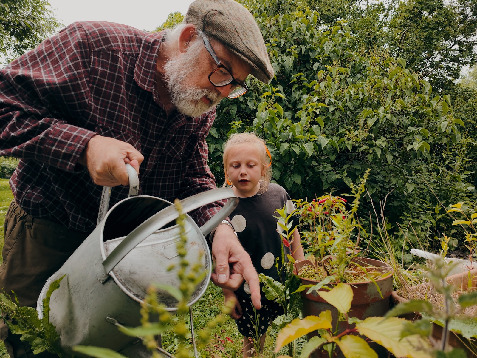 Avoid Pressuring Adult Children to Have Grandchildren, a man and a child looking at a plant